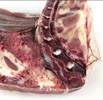 Sacchetti di imballaggio di carne fresca a freddo con pellicola riduttiva PA/PE PVDC Film riduttivo e sacchetti