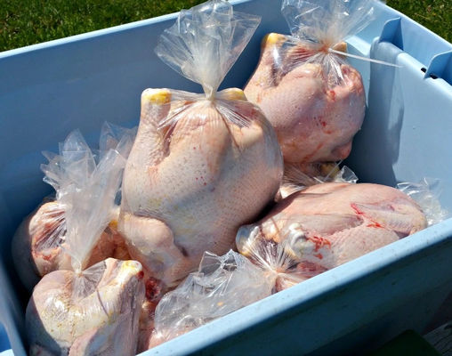 Sacchetti di imballaggio di carne fresca a freddo con pellicola riduttiva PA/PE PVDC Film riduttivo e sacchetti