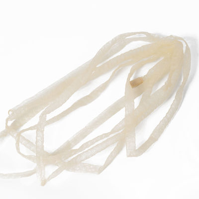 Cassa di salsiccia per prodotti alimentari stampati artificiali Coperchio di salsiccia di plastica